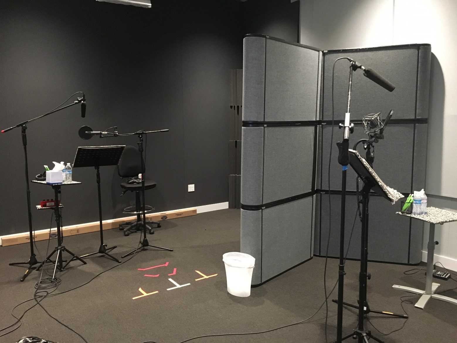 Tell Me Why  Audio Diary Part 1: Ambience and Voiceover