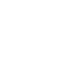 Wwise logo